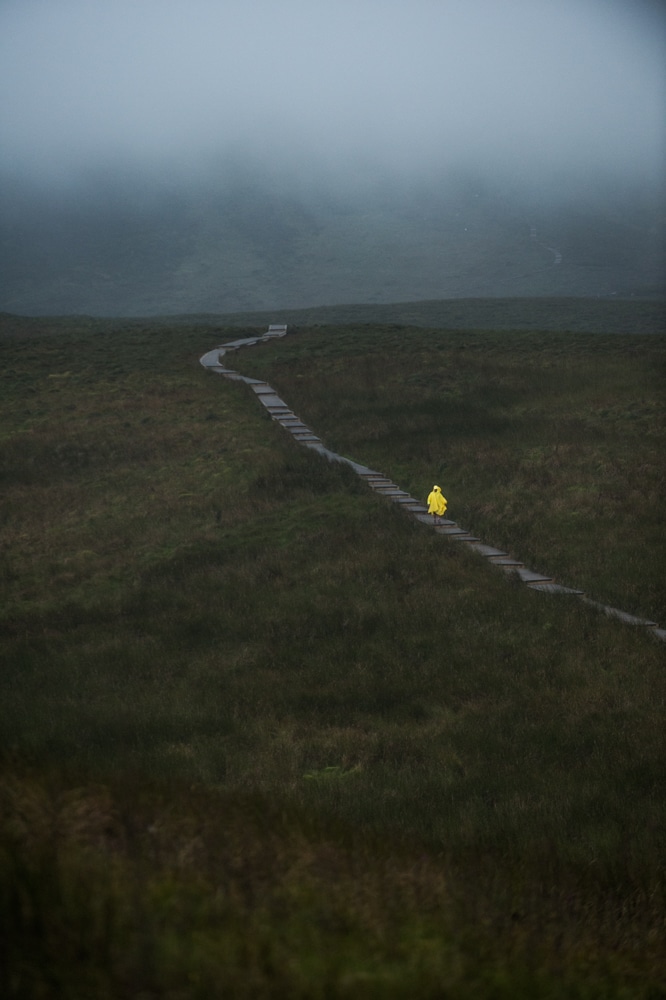 The Yellow Line_ photographer Helen Sloan
