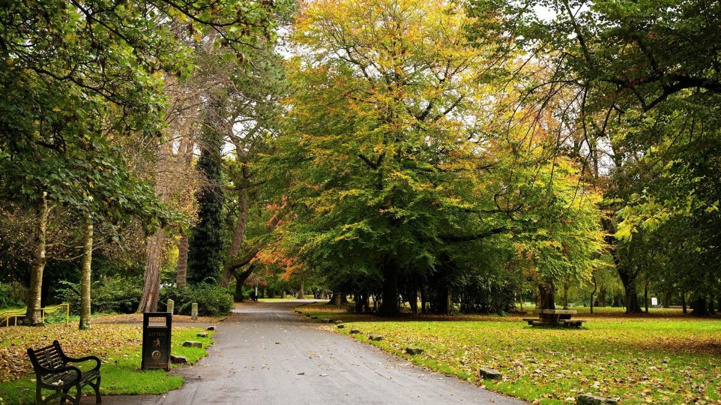 Blackbirds, Bricks And The Man Who Sold Belfast – A Stroll Through Ormeau Park