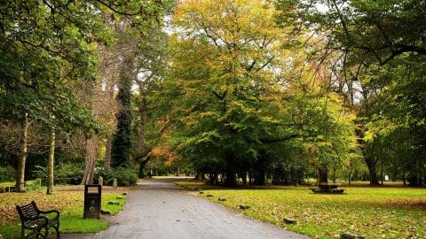 Blackbirds, Bricks And The Man Who Sold Belfast – A Stroll Through Ormeau Park