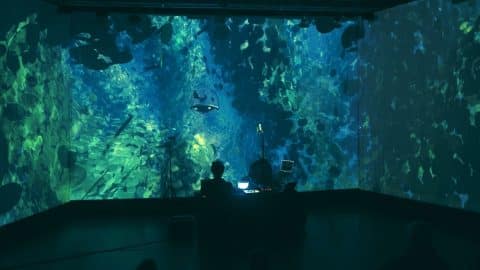 Lost Communication Underwater